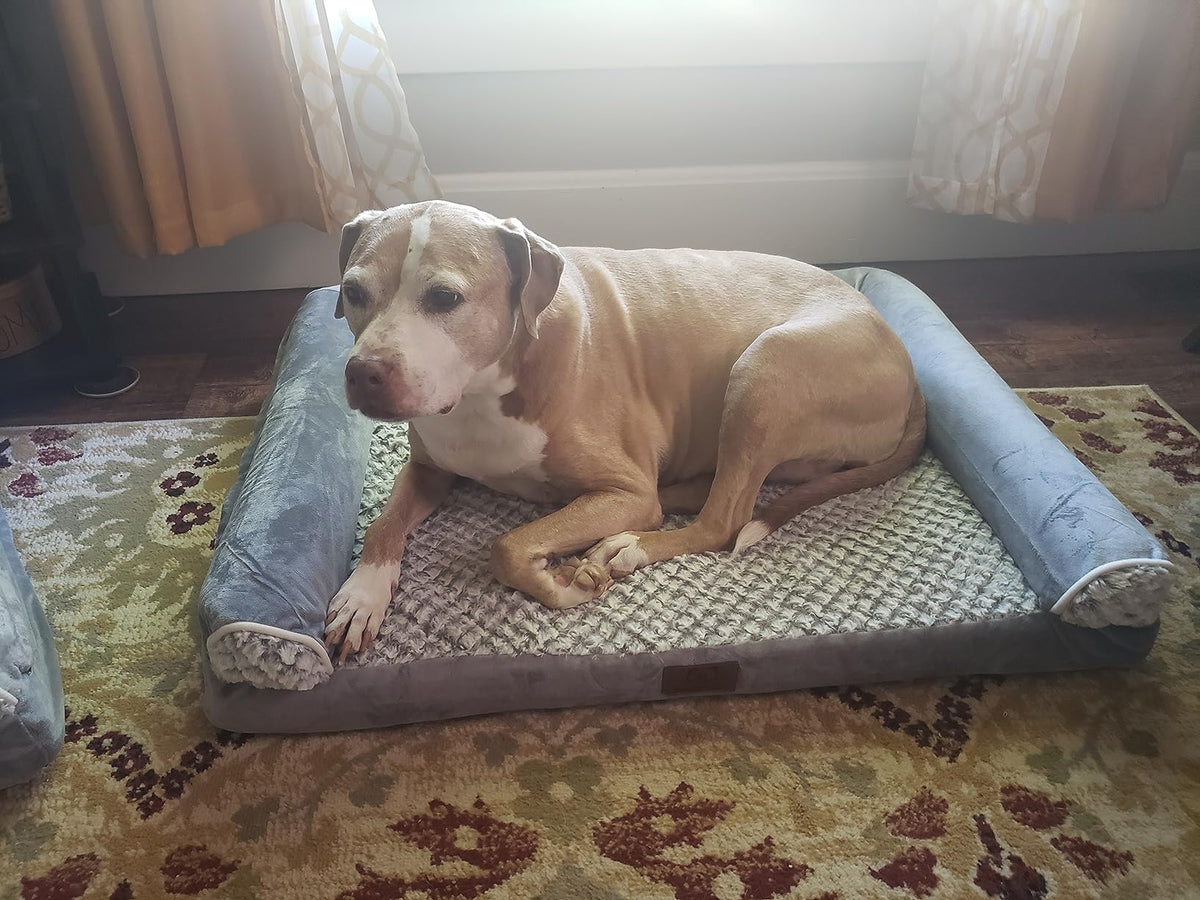 Cama ortopédica para perros medianos a grandes, tamaño L