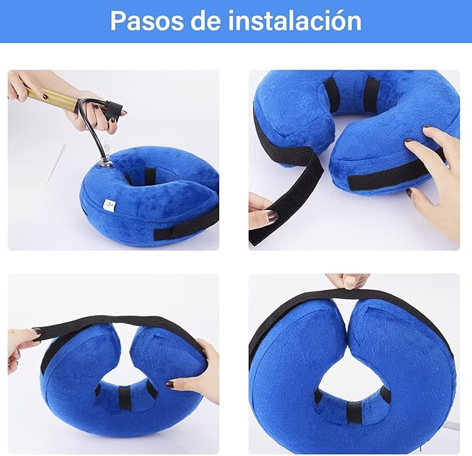 Dona de recuperación para perros y gatos