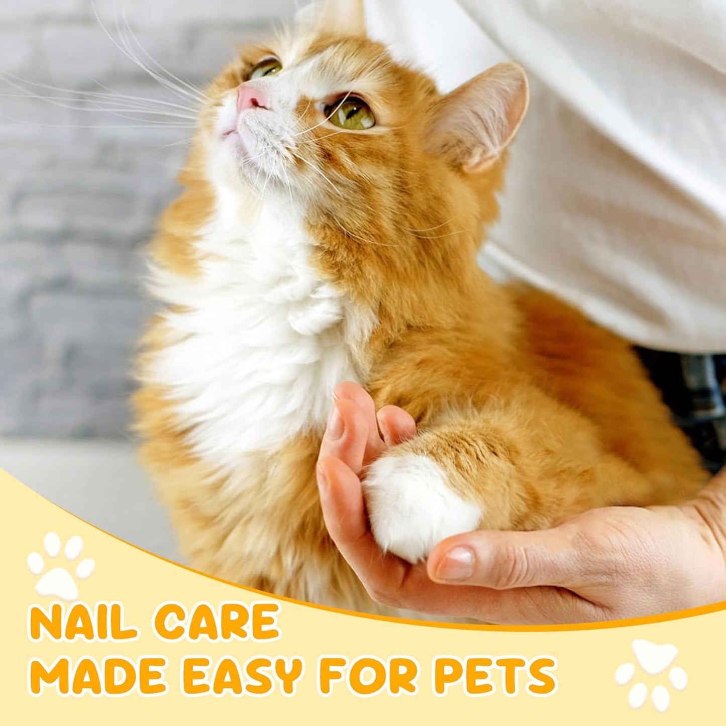 Corta úñas para gatos de acero inoxidable