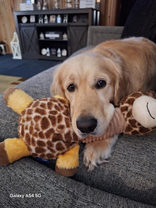 Giraffe Bobberz Plush Squeaky Dog Toy, Large/X-Large