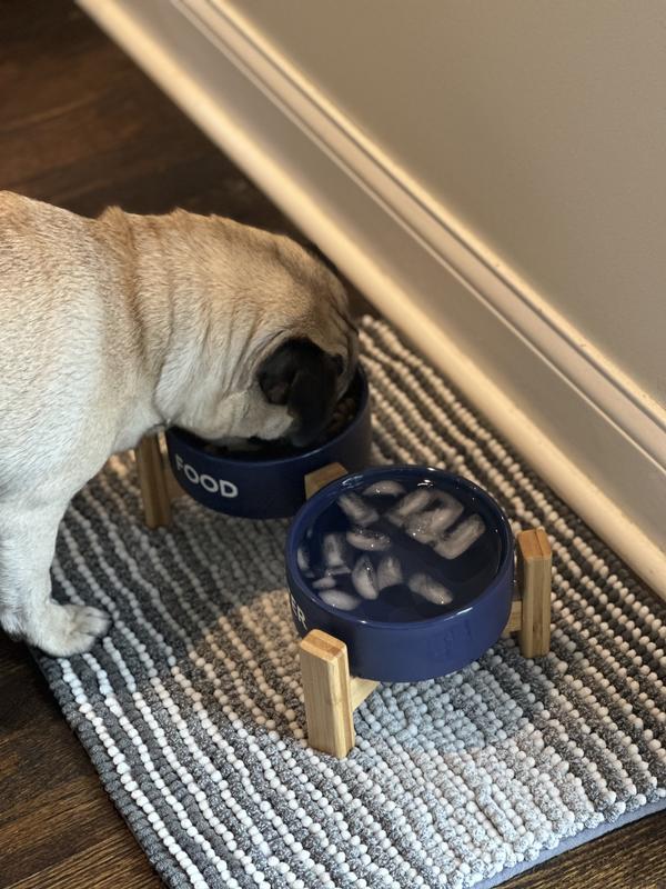 Double Diner Ceramic Dog/Cat Bowl, Medium: 3 cup