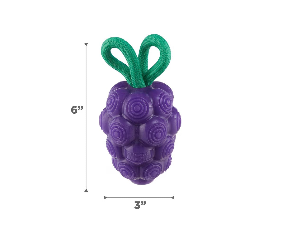 Outward Hound Dental Grapes 2-in-1 Interactive Dog Chew & Treat Dispensing Toy, Medium