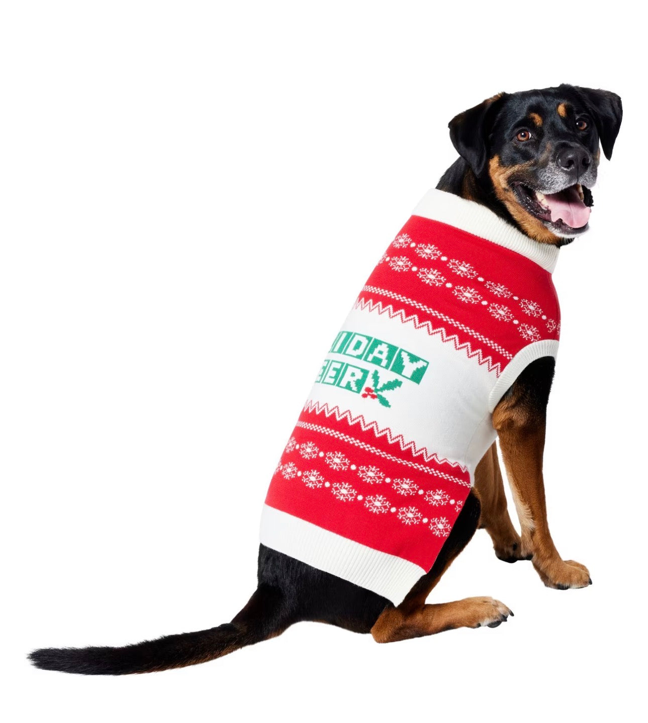 Christmas Cheer Dog & Cat Sweater