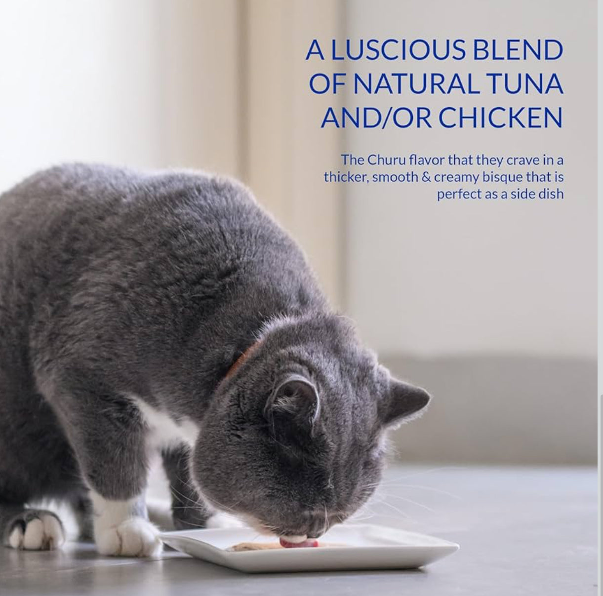 INABA Churu Bisque para gatos, plato de puré cremoso para lamer con vitamina E, 1.4 onza bolsa (receta pollo con carne de res)