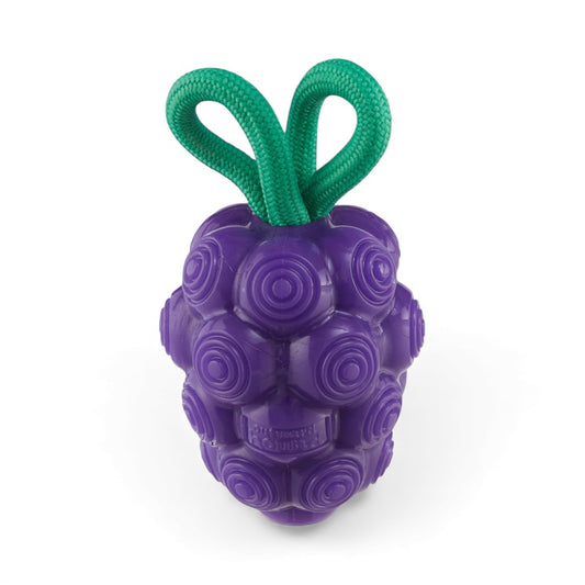Outward Hound Dental Grapes 2-in-1 Interactive Dog Chew & Treat Dispensing Toy, Medium