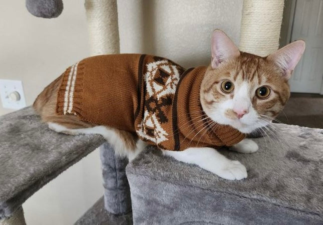 Western Pattern Dog & Cat Sweater
