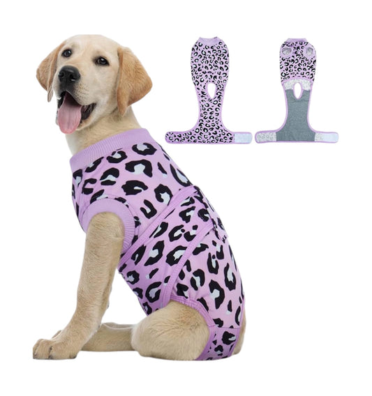 Traje de Recuperación para perros