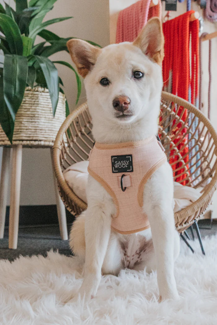 Sassy Woof- pechera ajustable y correa Pinot