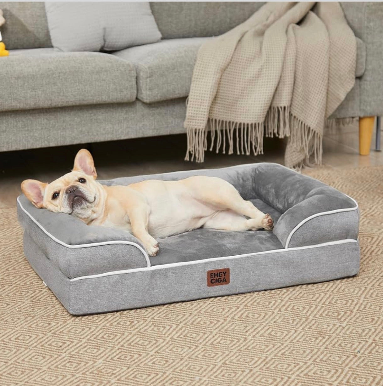 Cama ortopédica para perro pequeño o mediano