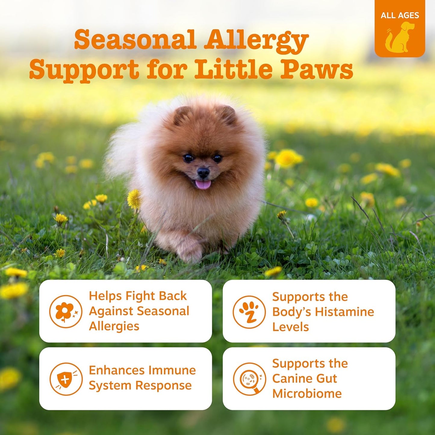 Zesty Paws Allergy & immune mini bites, 90 masticables