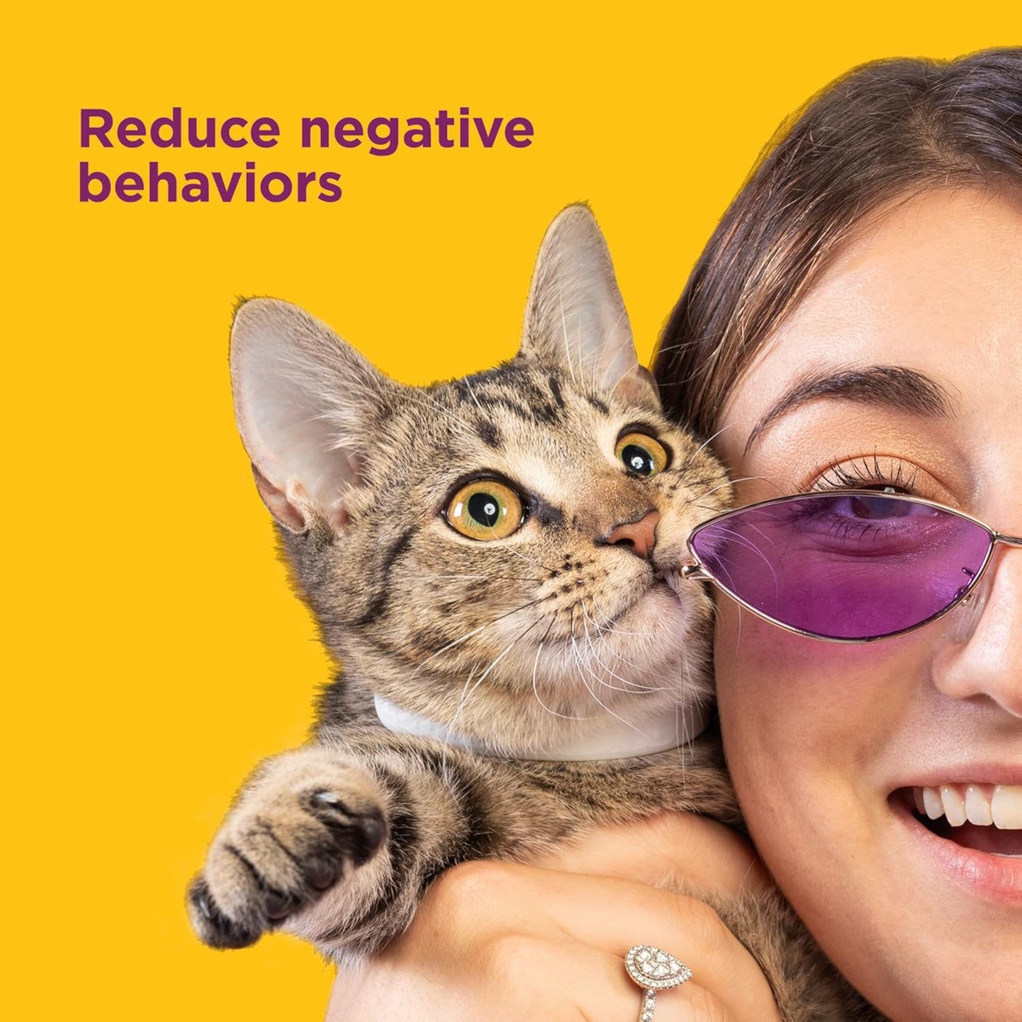 Comfort Zone Paquete de collar calmante para gatos: 4 collares