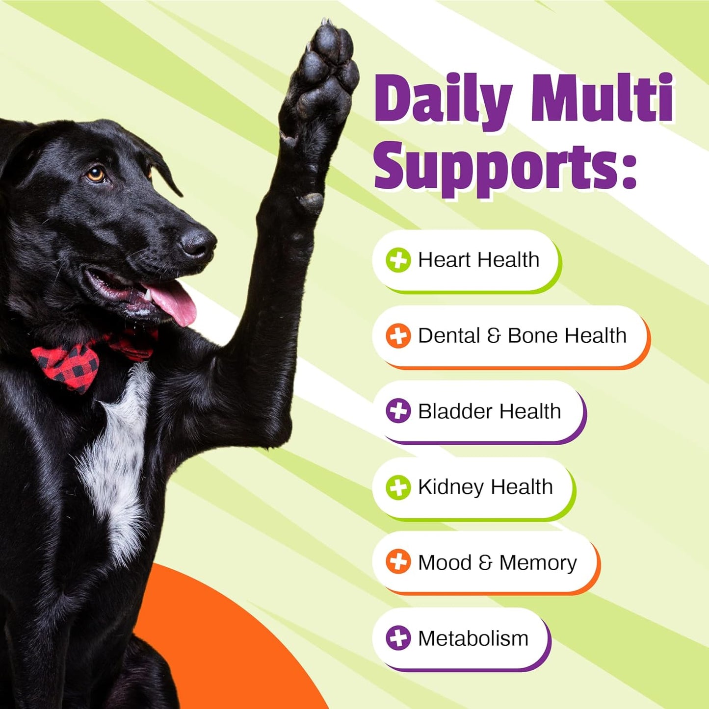 Pet Naturals Multivitamínico diario para perros, sabor vegetal