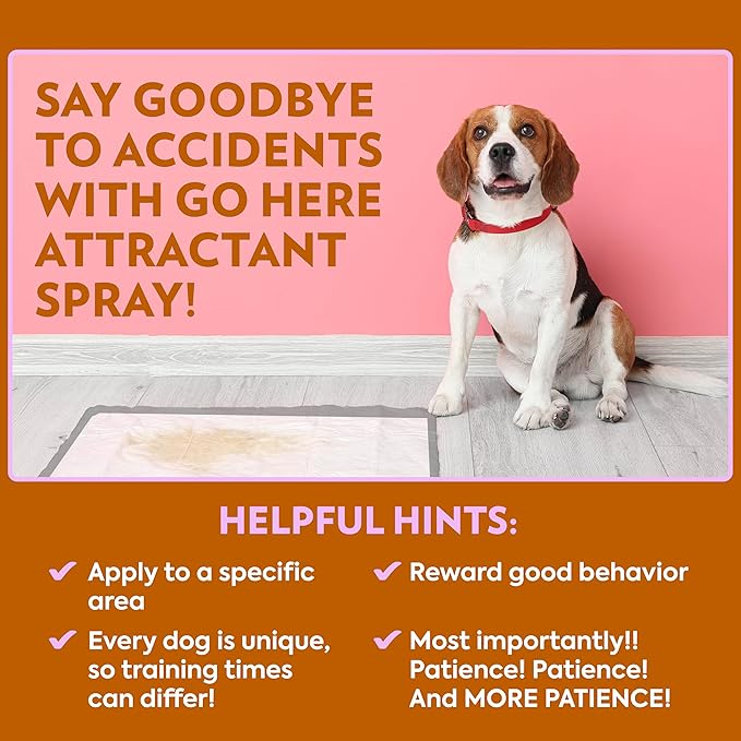 OUT! PetCare Go Here Attractant Spray de entrenamiento para perros