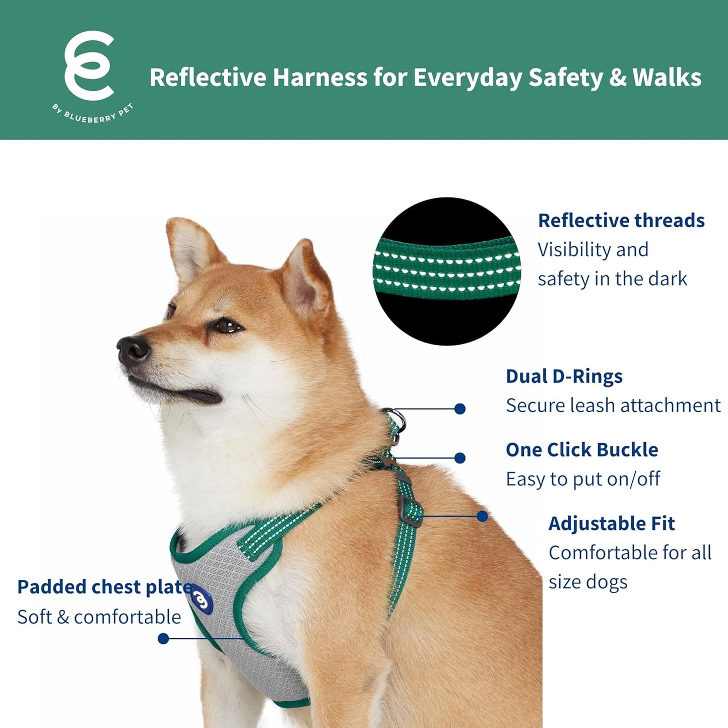 Blueberry Pet - Juego de arnés a juego con collar para perro grande