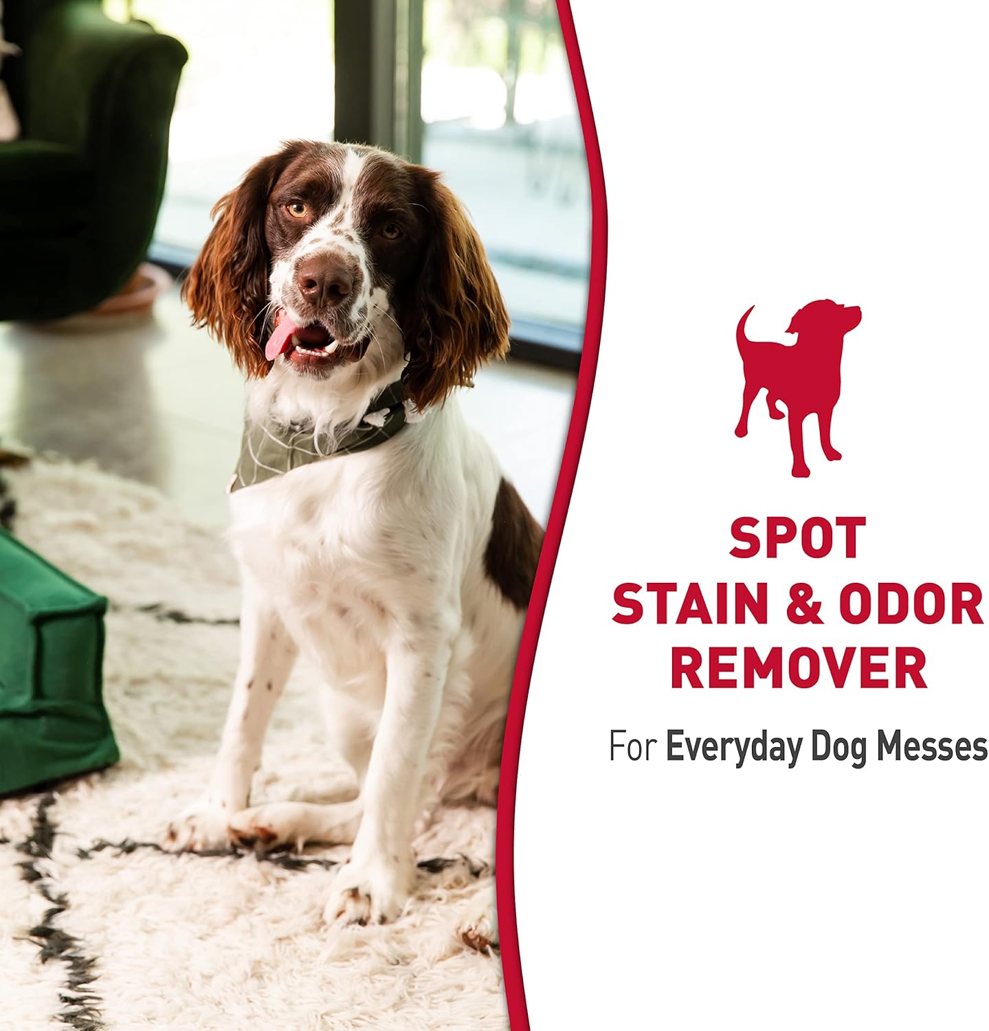 Nature's Miracle Quitamanchas y olores Spray, 1 galón