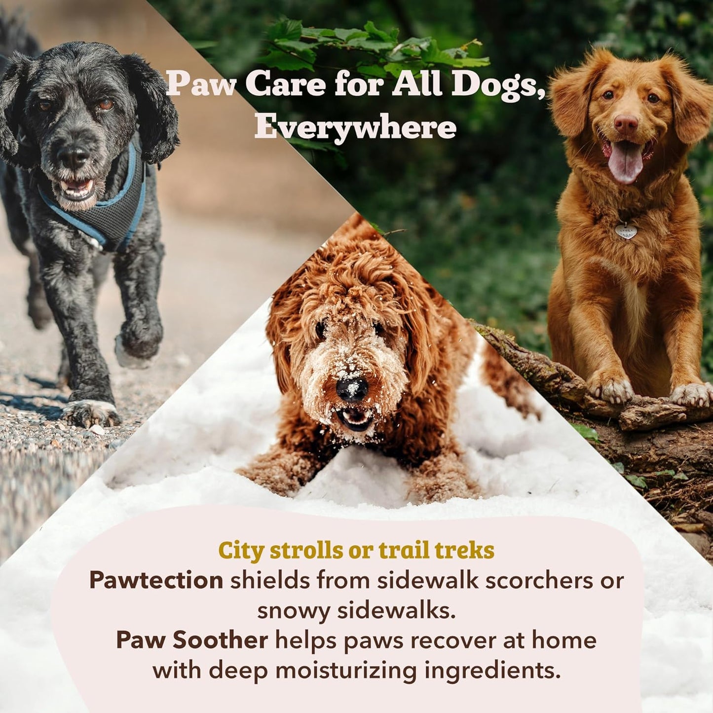 Natural dog company Paw Soother- ALIVIO PARA PATITAS | Orgánico