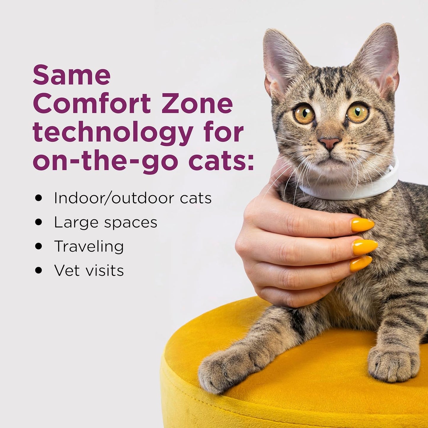 Comfort Zone Paquete de collar calmante para gatos: 4 collares