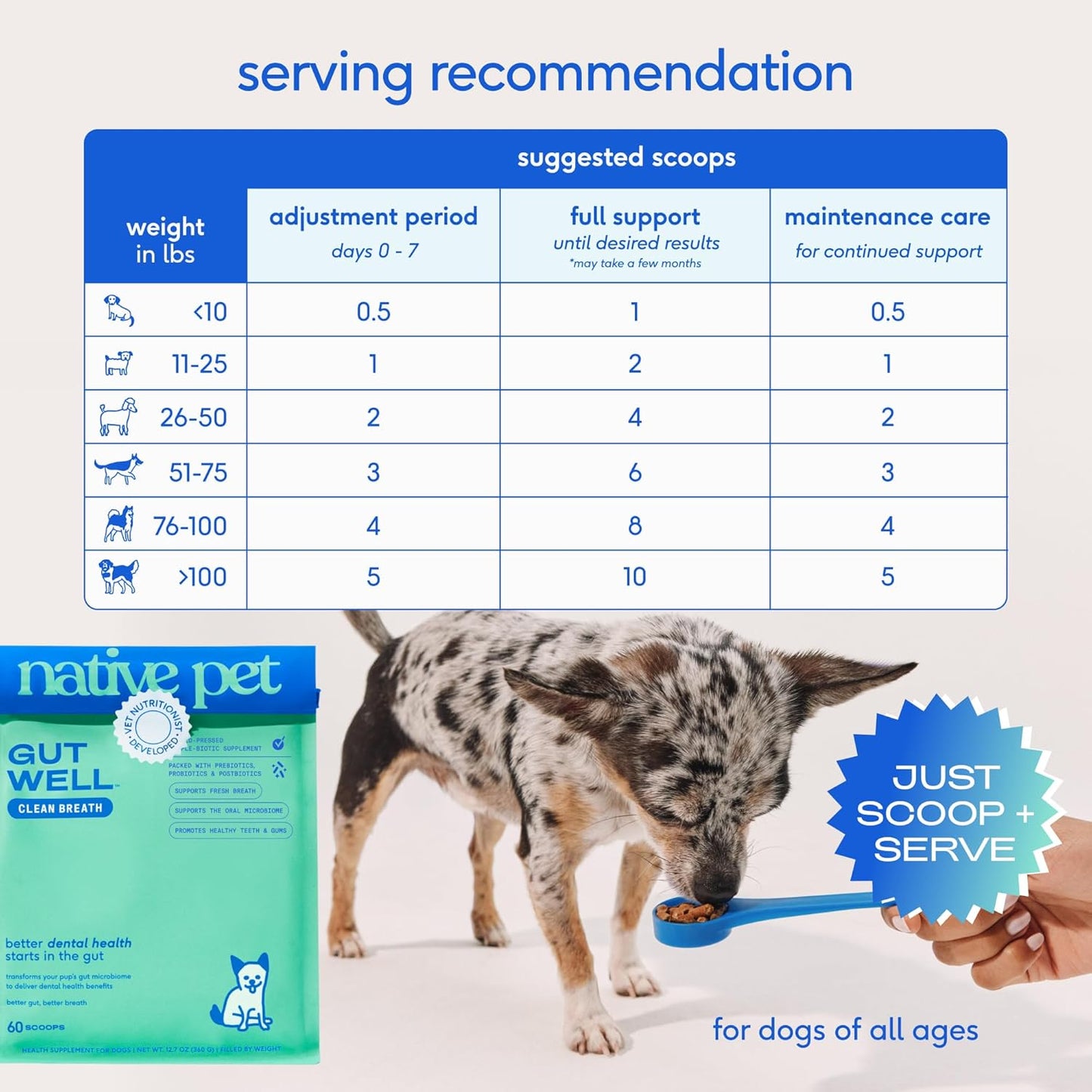 Native Pet GutWell Clean Breath - aliento fresco para perro y polvo dental para perros