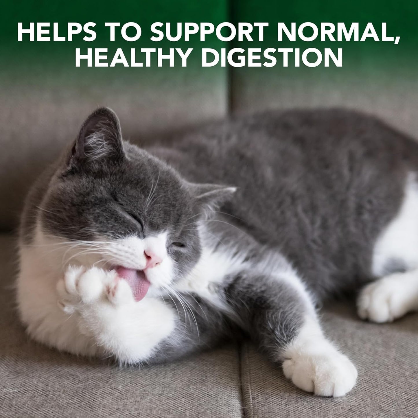 Vet’s Best, Hairball relief -digestivo para alivio de bolas de pelo de gato
