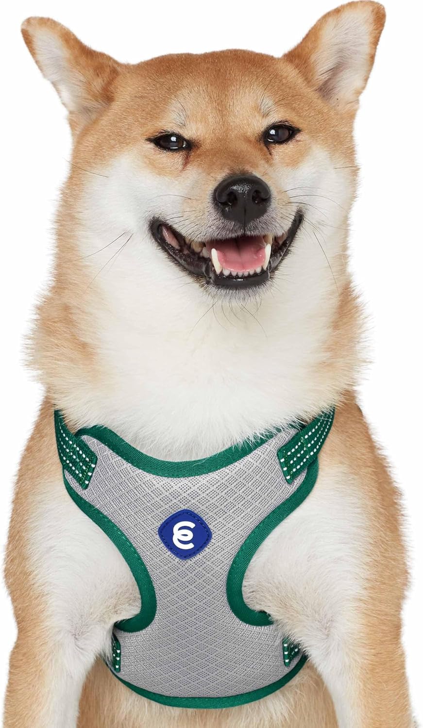 Blueberry Pet - Juego de arnés a juego con collar para perro grande