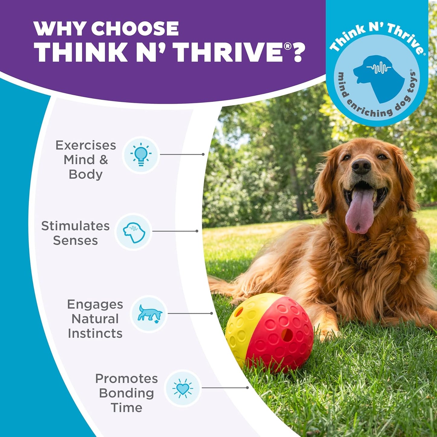 Nina Ottosson - Juguete interactivo de rompecabezas dispensador de premios, tamaño grande