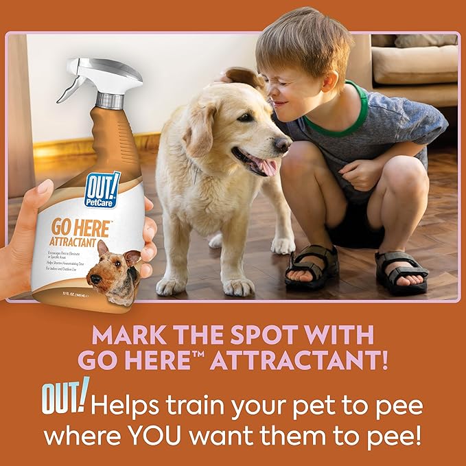 OUT! PetCare Go Here Attractant Spray de entrenamiento para perros