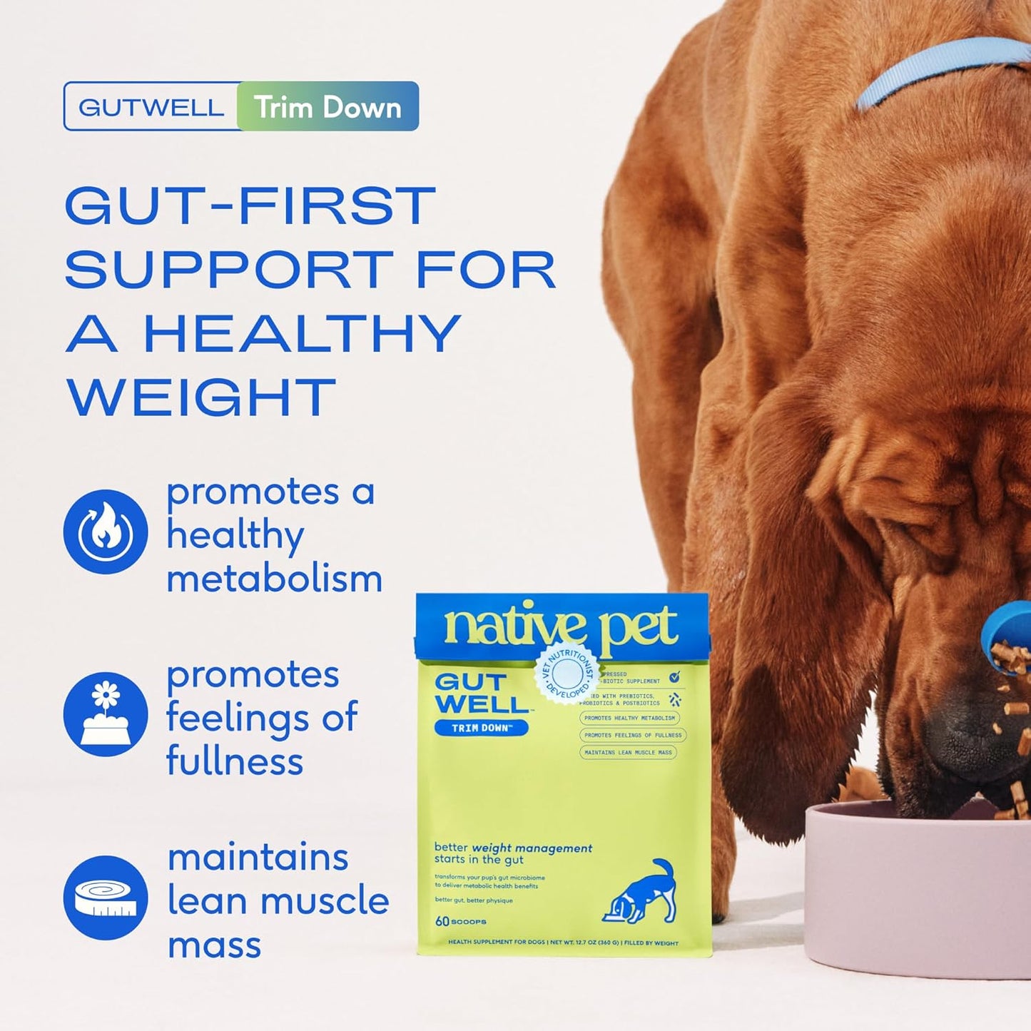 Native pet GutWell Trim Down - Comida para perros para control de peso, suplemento de pérdida de peso