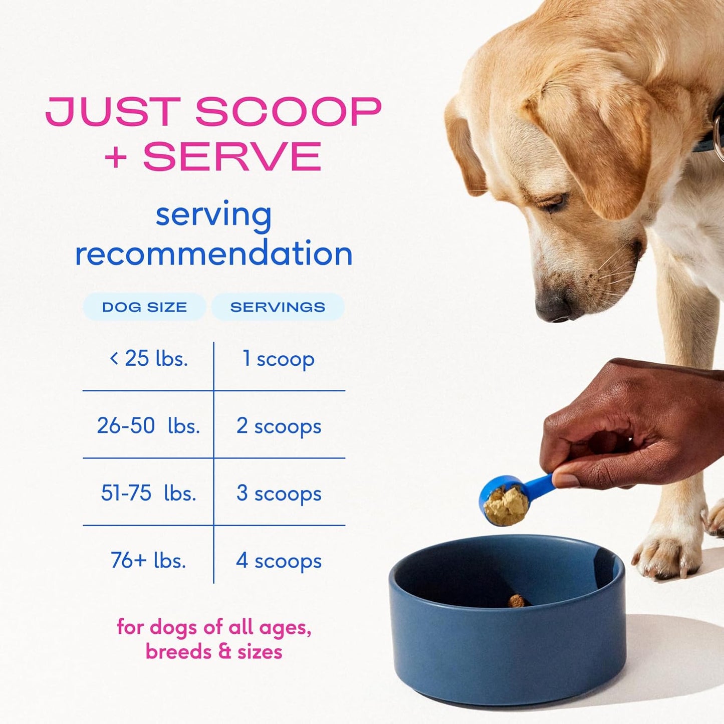 Native Pet Advanced Care - Hip and Joint Suplemento para cadera y articulaciones para perros