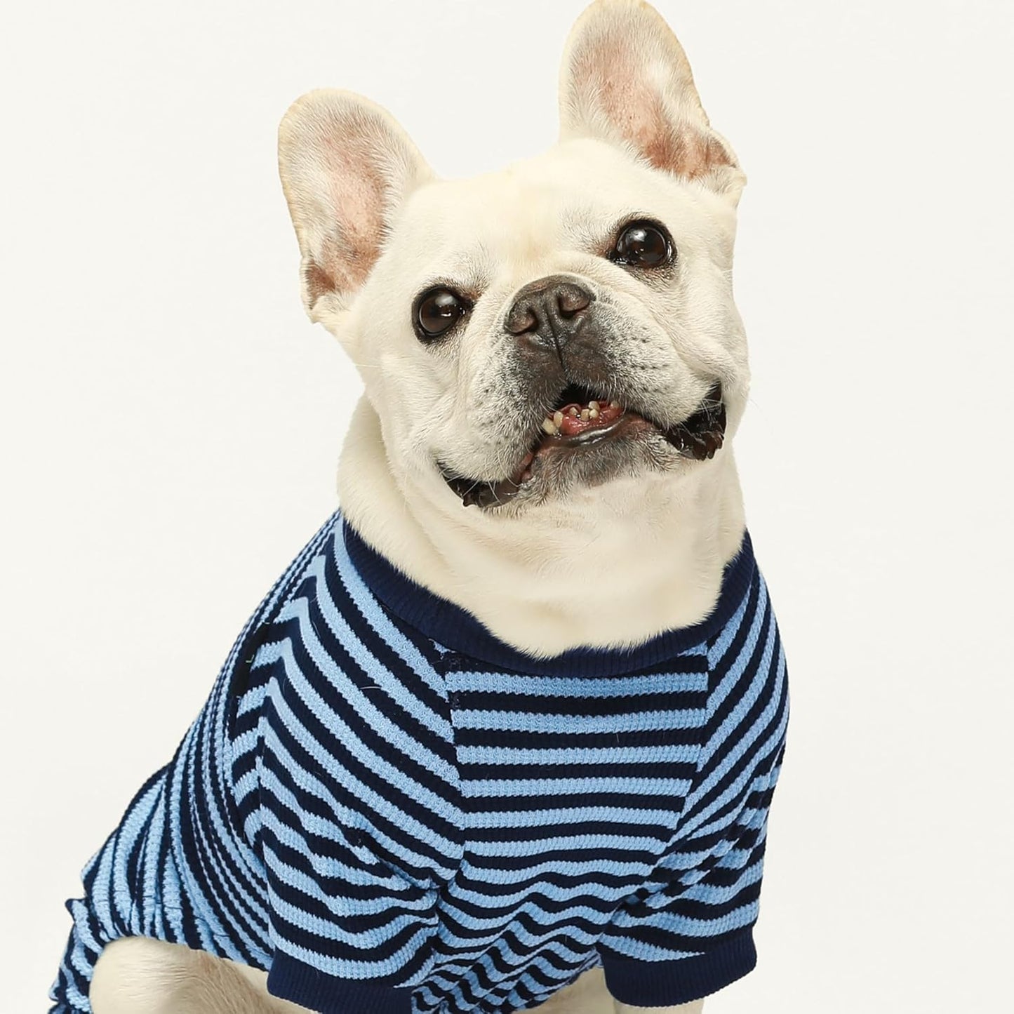 Pijama para perro azul con rayas