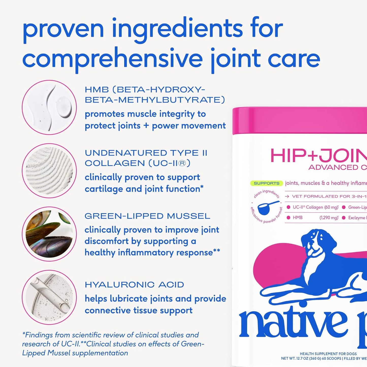 Native Pet Advanced Care - Hip and Joint Suplemento para cadera y articulaciones para perros