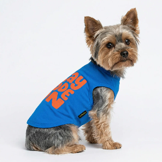 PLAY MODE ON DOG SHIRT