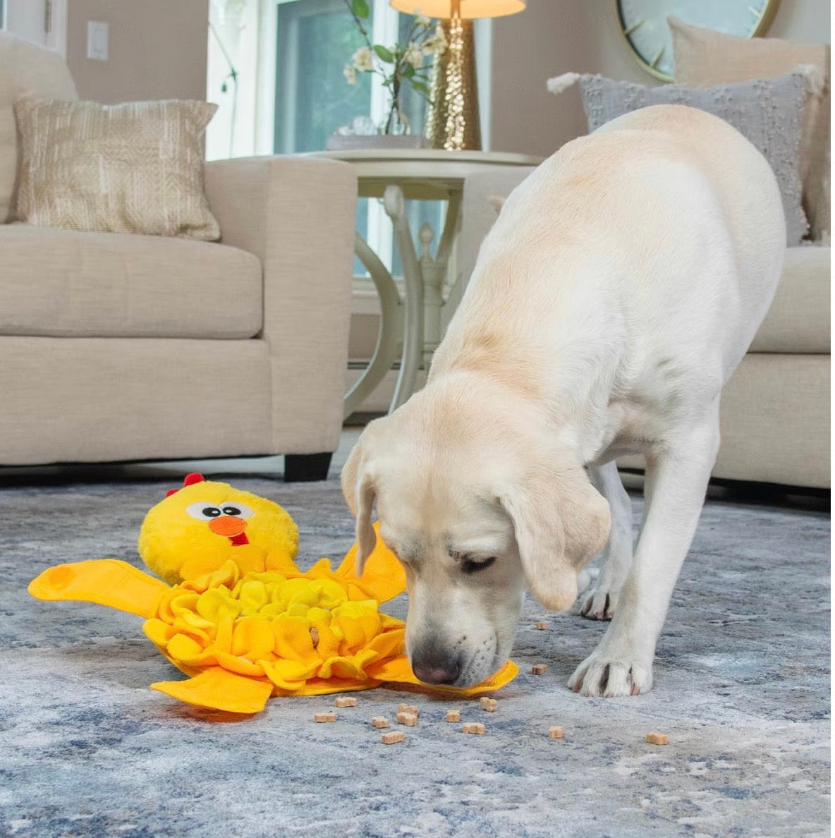 Nina Ottosson by Outward Hound Snuffle Palz Interactive Plush Puzzle & Snuffle Mat Dog Toy, Bird