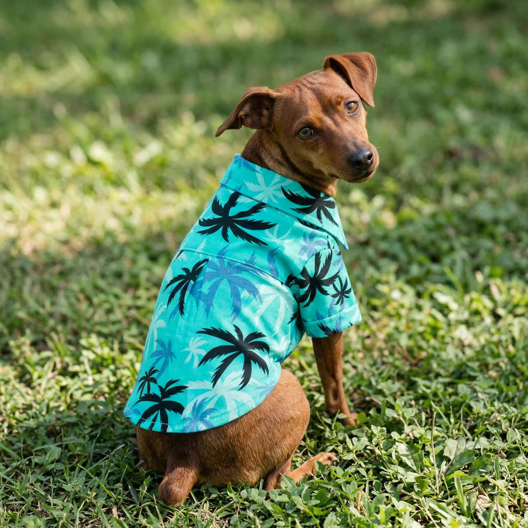 TROPICAL COCONUT PALM DOG SHIRT