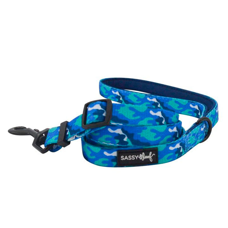 Sassy woof- collar y correa a juego