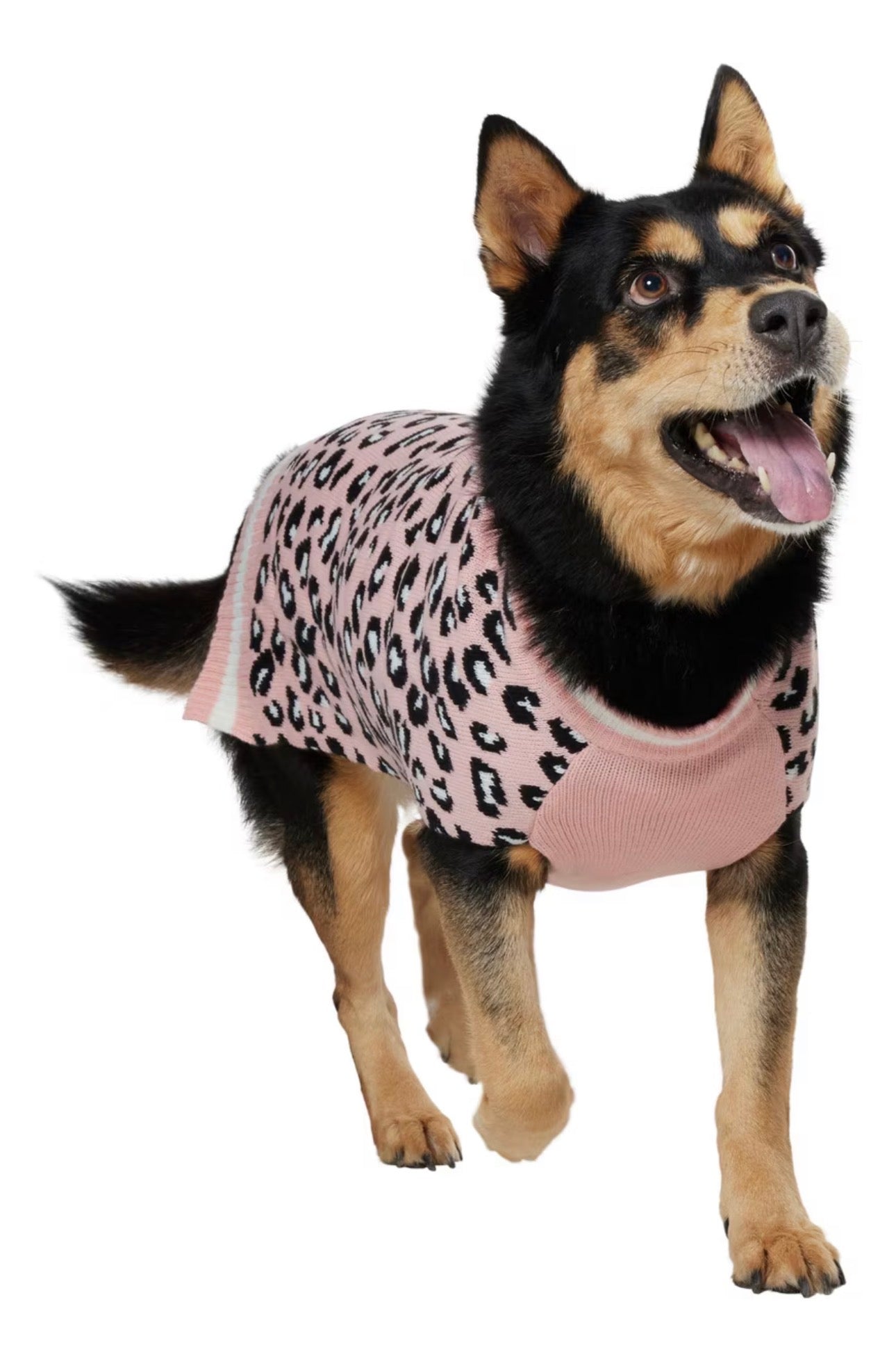 Leopard Print Dog sweater