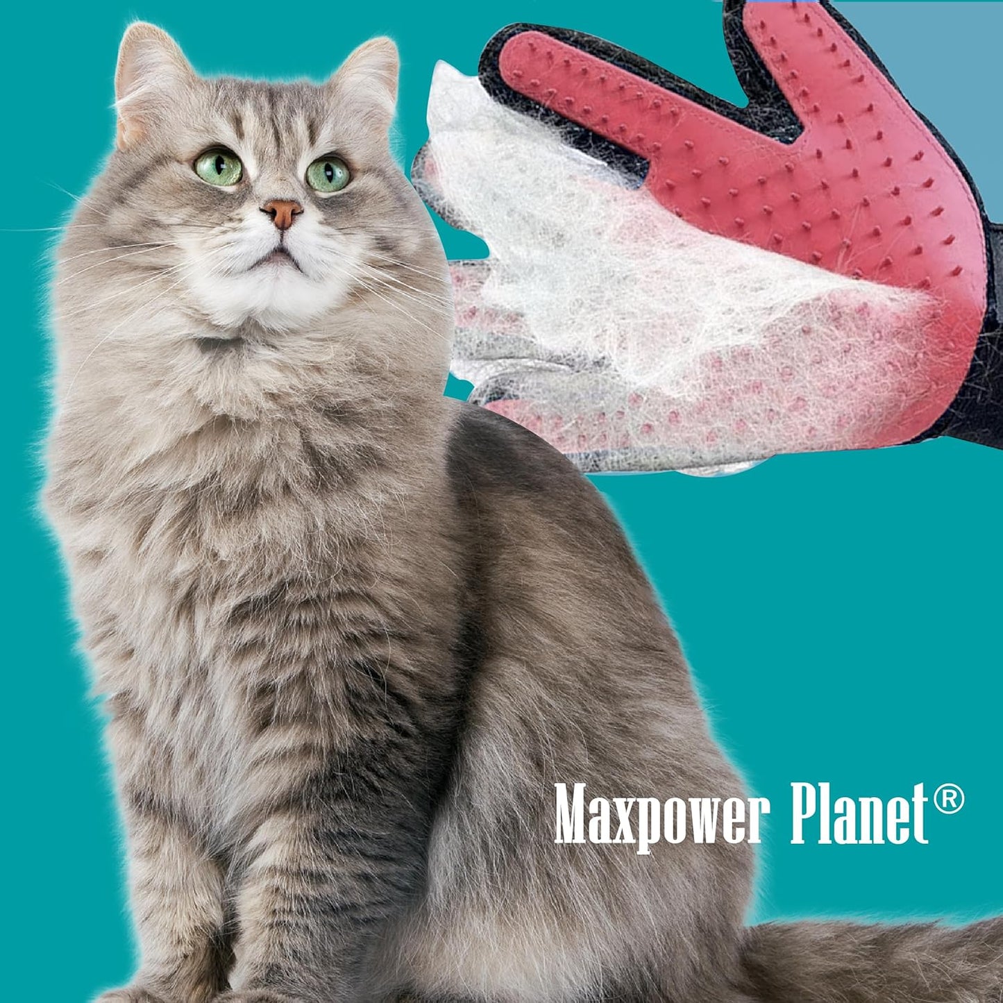 Guantes de aseo para mascotas, removedor de pelo de mascotas