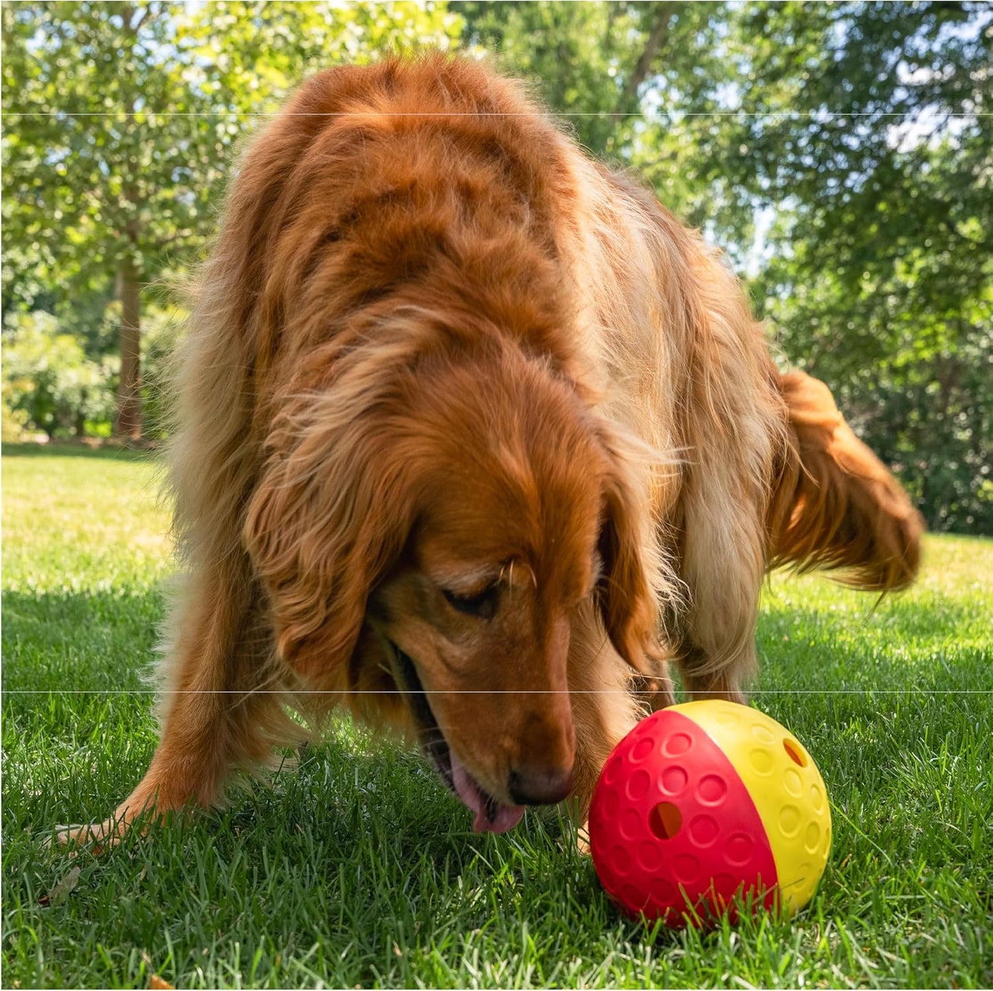 Nina Ottosson - Juguete interactivo de rompecabezas dispensador de premios, tamaño grande