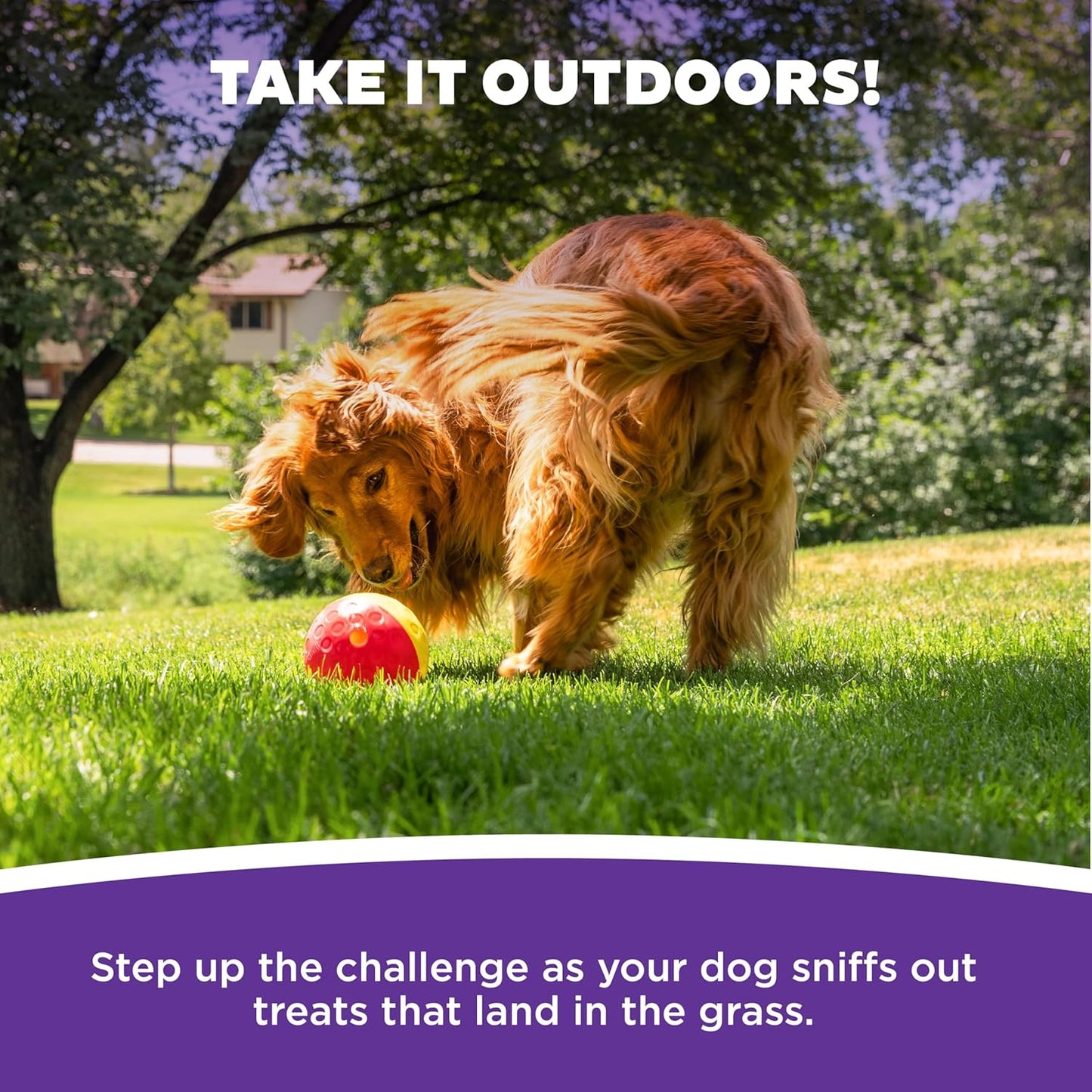 Nina Ottosson - Juguete interactivo de rompecabezas dispensador de premios, tamaño grande