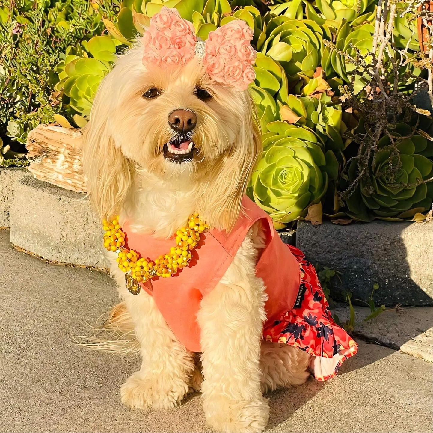 Sea You Soon - Vestido hawaiano para perro