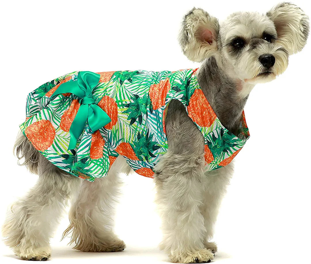 Vestido de verano piña