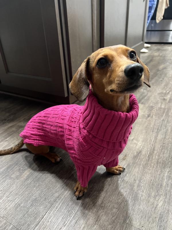 Dog & Cat Turtleneck Sweater, Pink