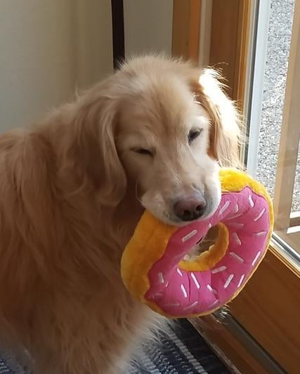 ZippyPaws Jumbo Donutz Dog Toy, Strawberry