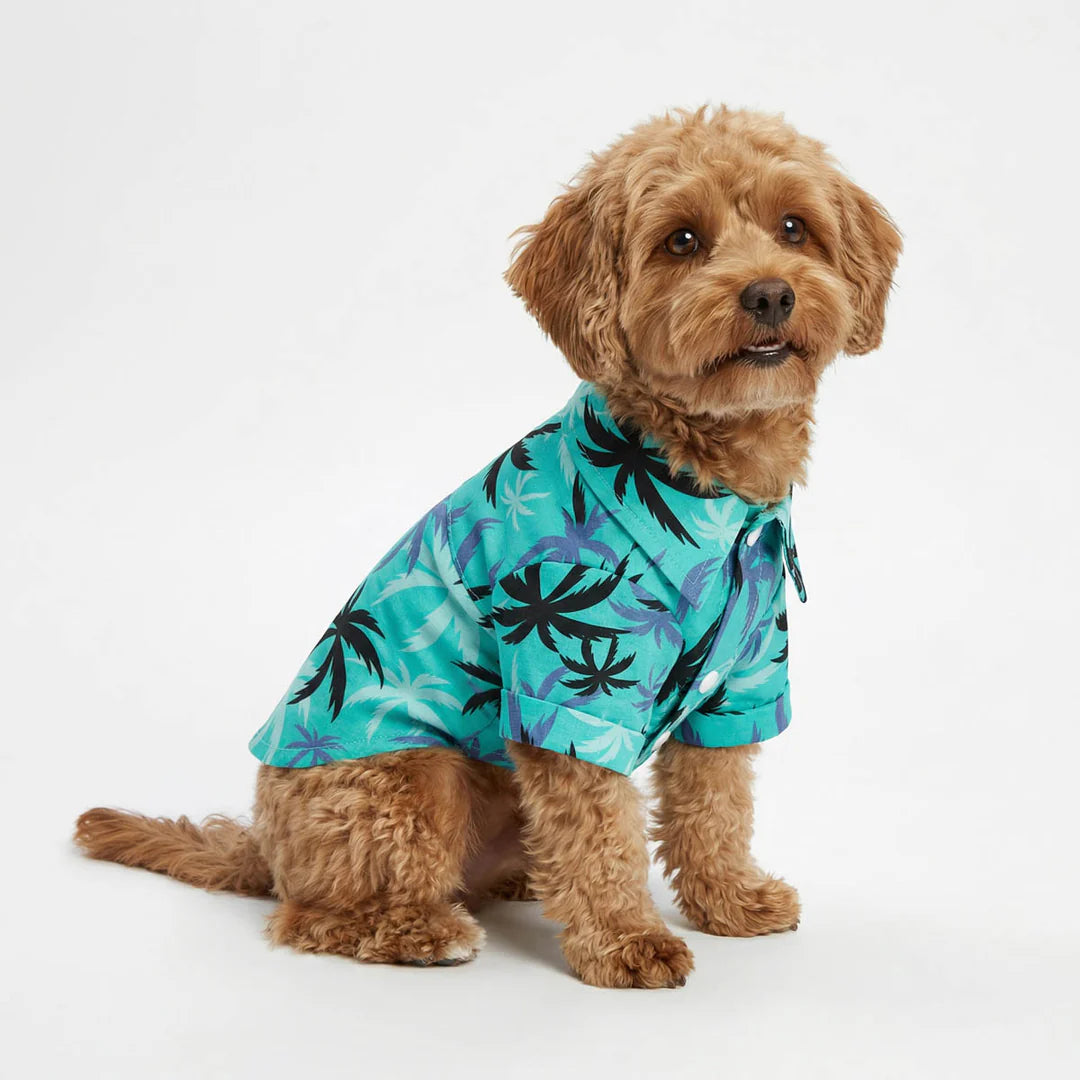 TROPICAL COCONUT PALM DOG SHIRT