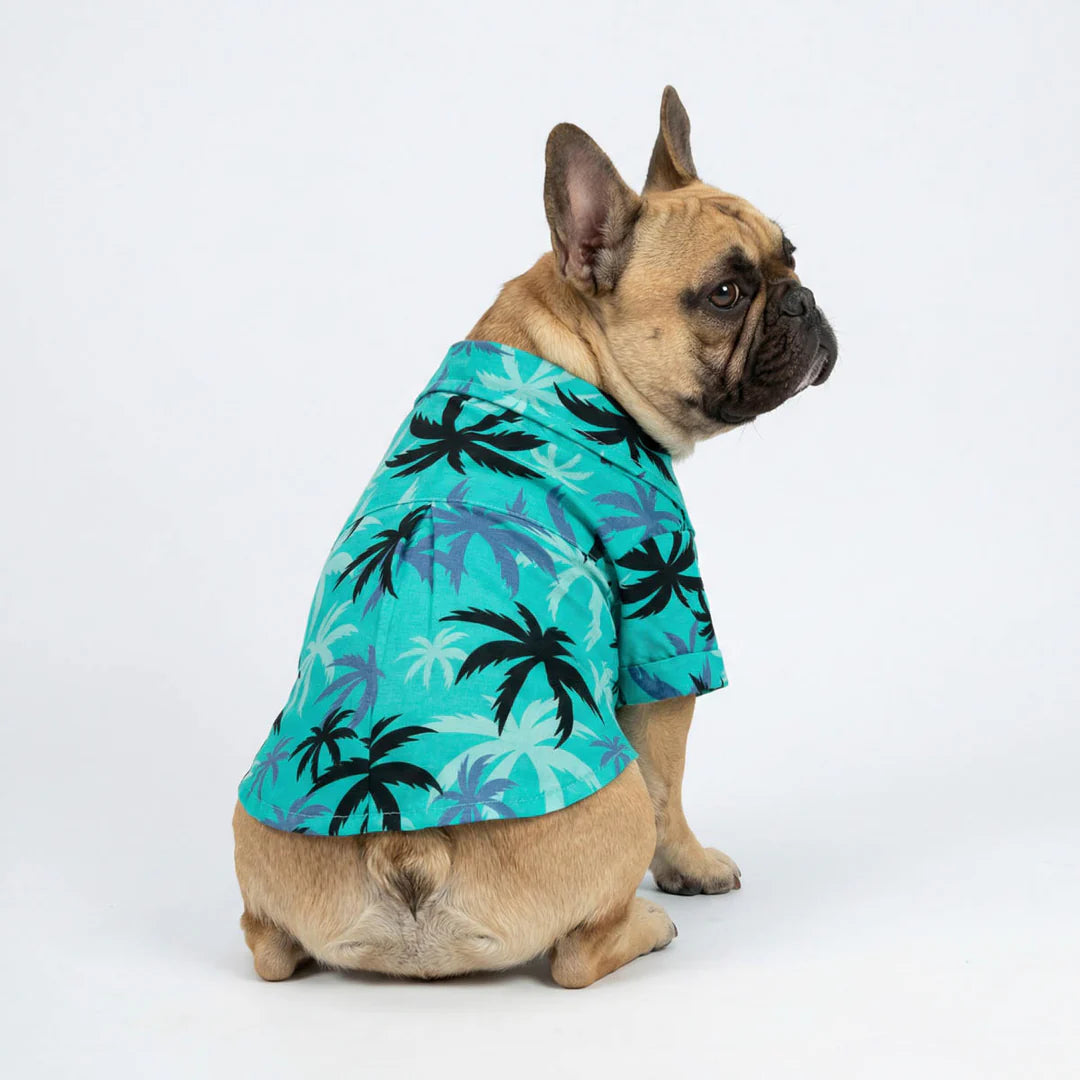 TROPICAL COCONUT PALM DOG SHIRT