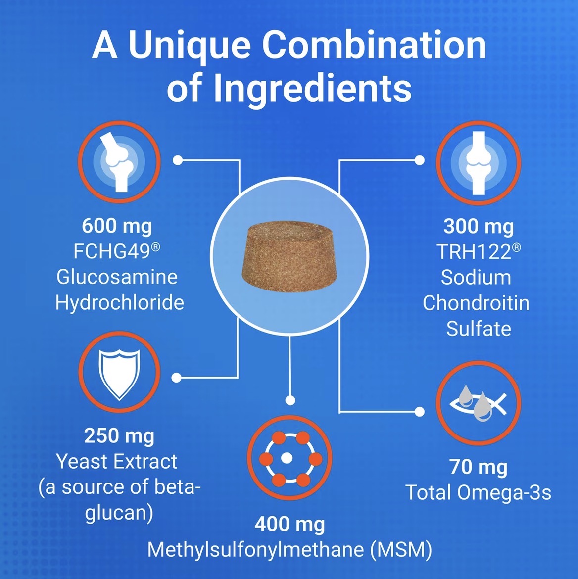Cosequin for Senior Dogs Joint Health Supplement