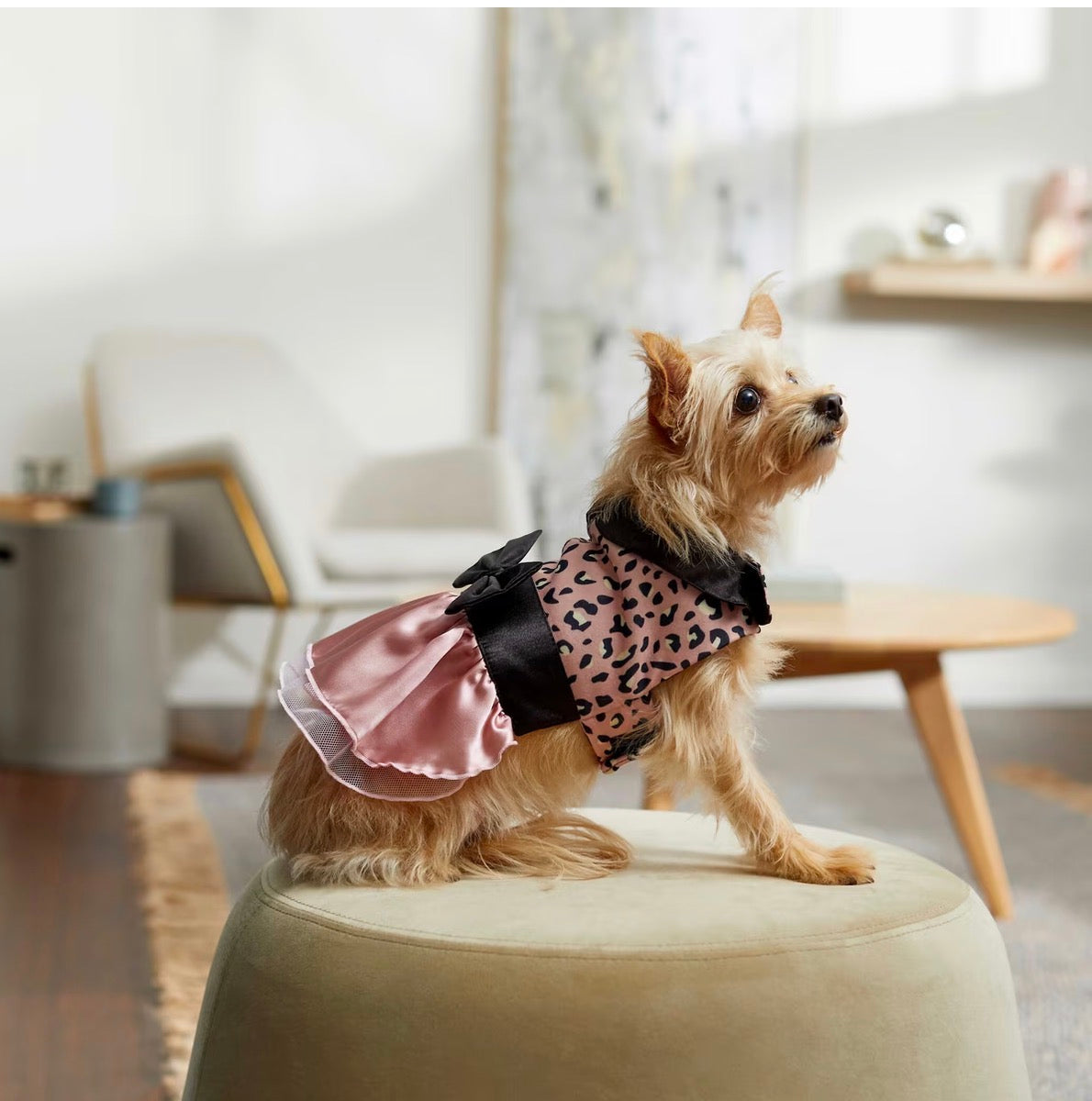 Pink Cheetah Dog Dress
