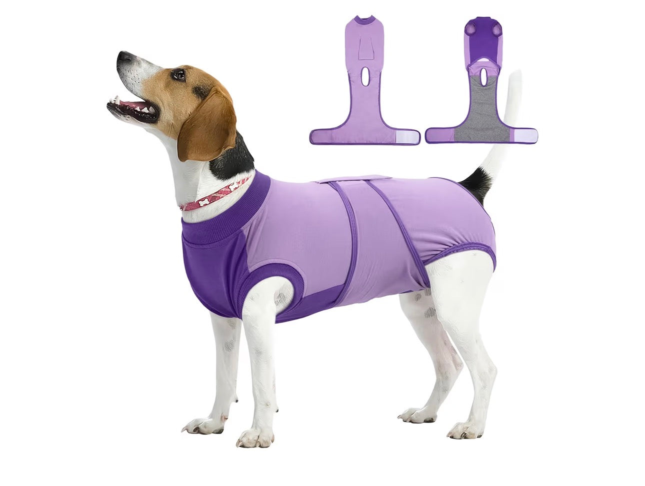 Traje de recuperación para perros después de la cirugía
