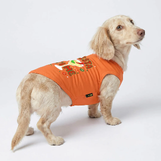 FIESTA TIME DOG SHIRT