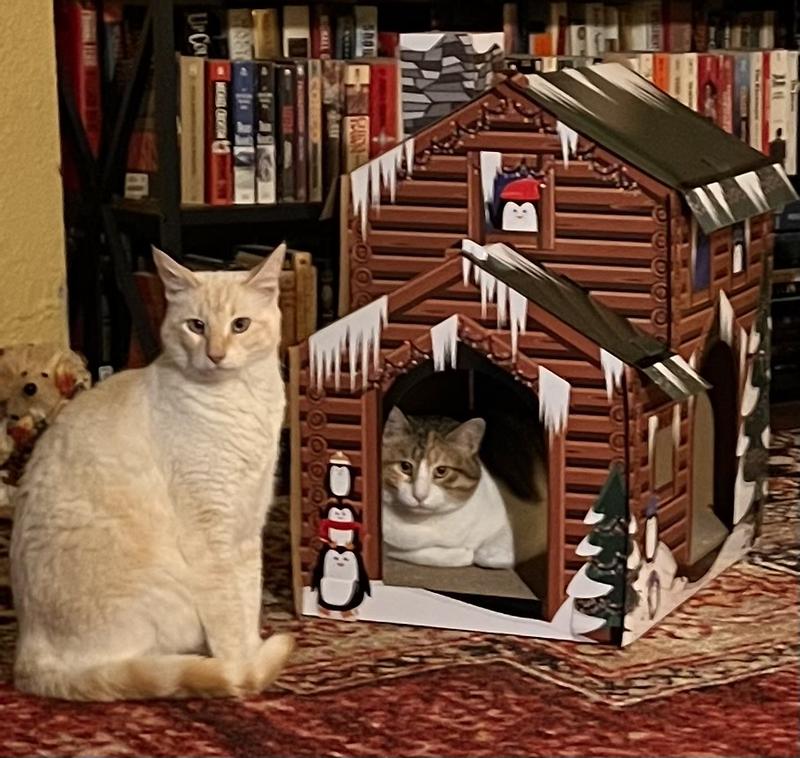 Holiday Log Cabin Cardboard Cat House