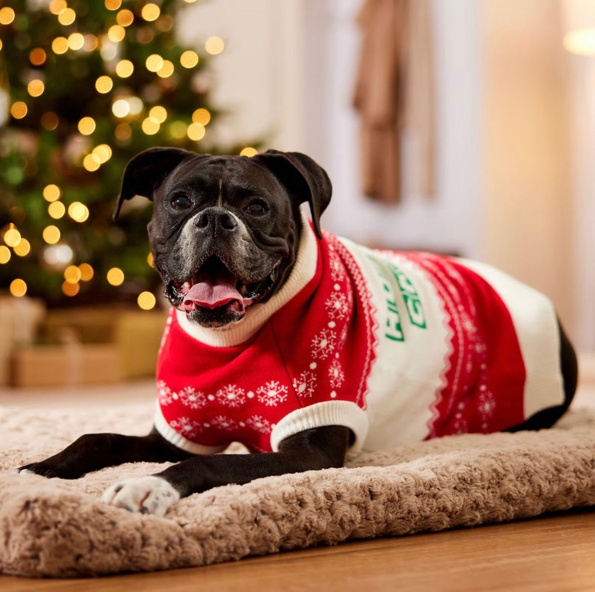 Christmas Cheer Dog & Cat Sweater